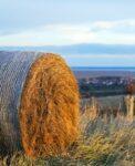 Emballage paille et foin