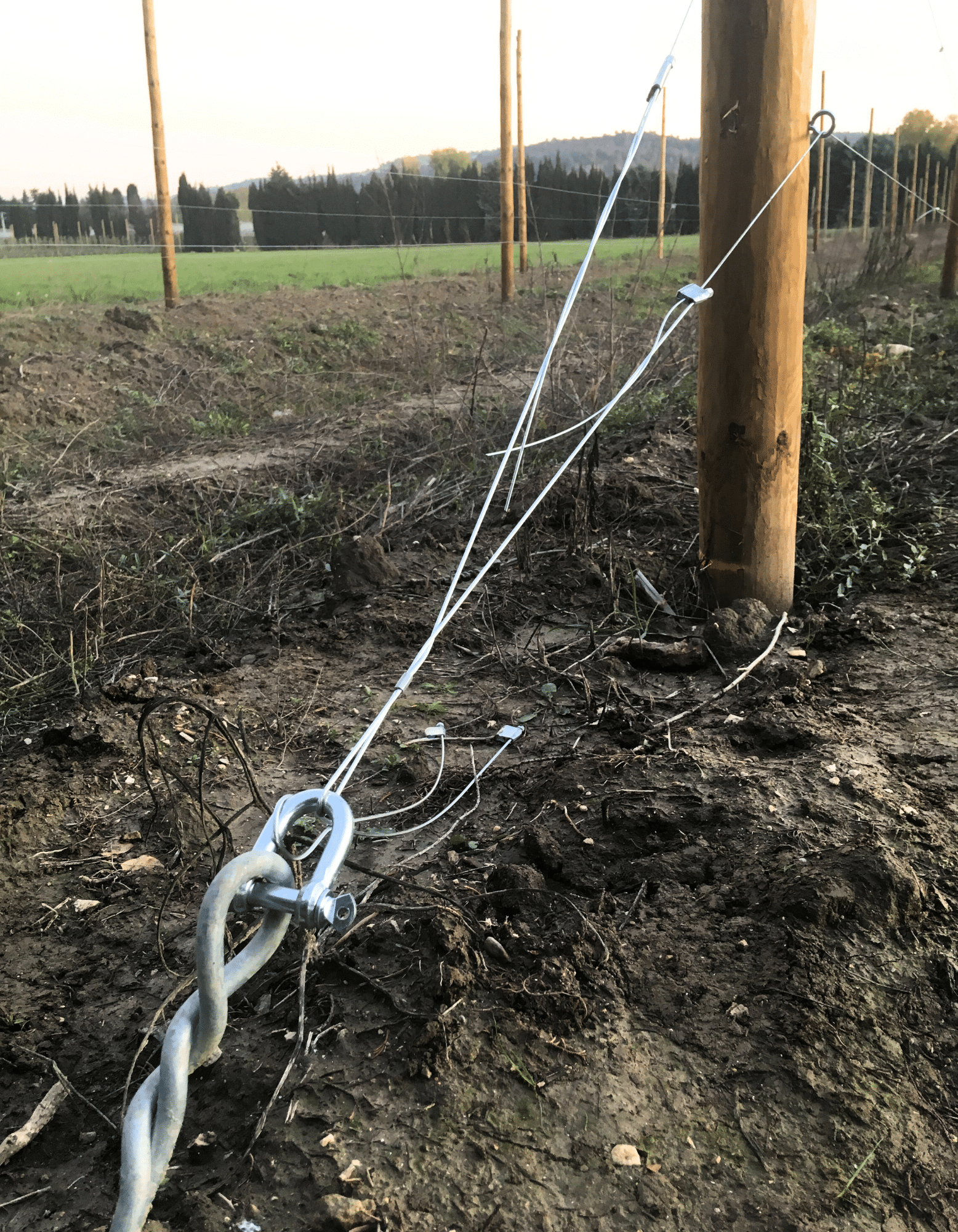 Structure et palissage pour l’arboriculture