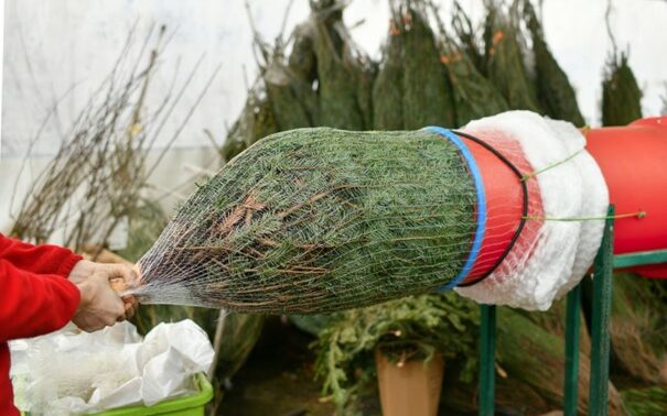 Filet sapin