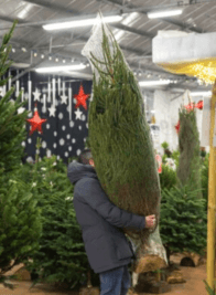Emballage horticulture et fourrage Filet sapin