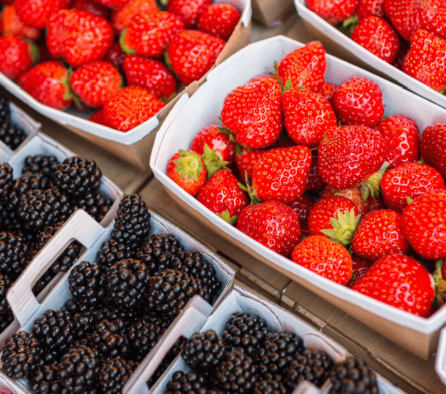 Barquettes fruits et légumes
