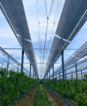 agrivoltaisme