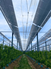 agrivoltaisme