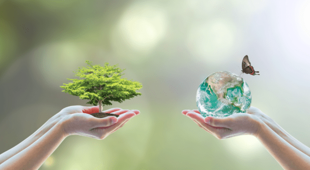 La RSE de Filpack récompensée par ECOVADIS !
